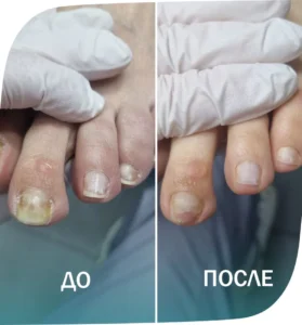 примеры работ - 1