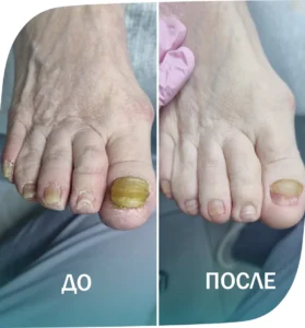 примеры работ - 2