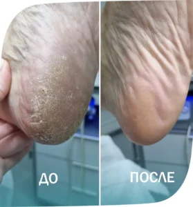 примеры работ - 8