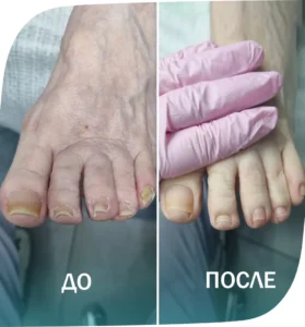 примеры работ - 6
